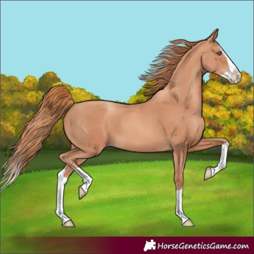Horse Color:Gold Champagne Splash 
