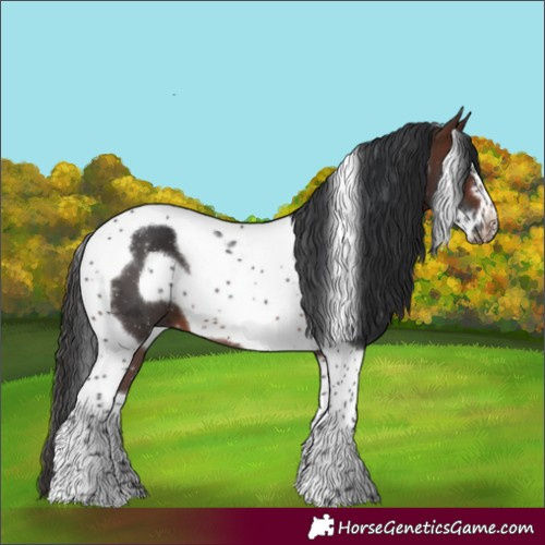 Horse Color:Brown Tobiano Frame 