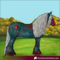 Horse Color:ERROR: UNKNOWN ANOMALY