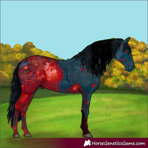 Horse Color:ERROR: UNKNOWN ANOMALY