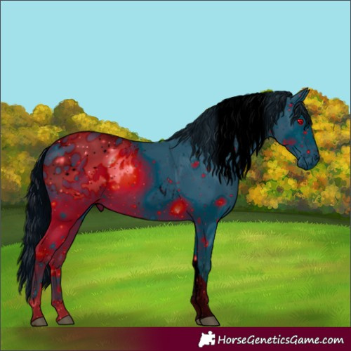 Horse Color:ERROR: UNKNOWN ANOMALY