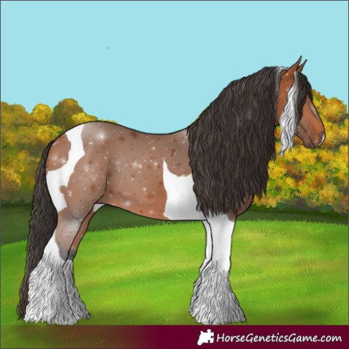 Horse Color:Bay Tobiano