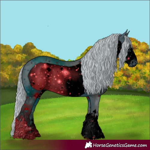 Horse Color:ERROR: UNKNOWN ANOMALY