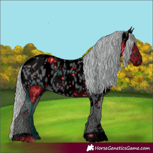 Horse Color:ERROR: UNKNOWN ANOMALY