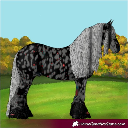 Horse Color:ERROR: UNKNOWN ANOMALY