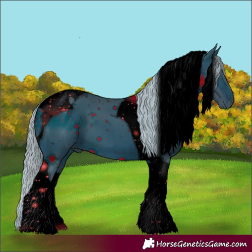 Horse Color:ERROR: UNKNOWN ANOMALY