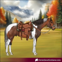 Horse Color:Bay Tobiano 