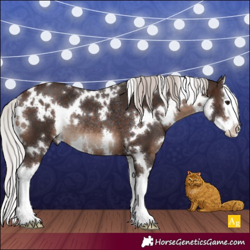 Horse Color:White Spotted Silver Brown Splash Rabicano 