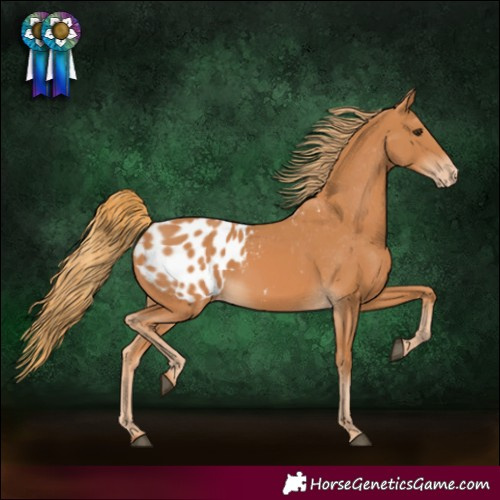Horse Color:Chestnut Blanket 