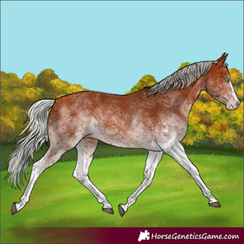 Horse Color:White Spotted Silver Bay Splash 
