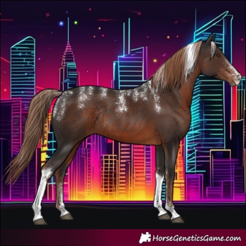 Horse Color:Powder White Liver Chestnut Tobiano Rabicano
