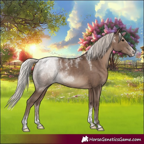 Horse Color:Powder White Silver Black Sabino Rabicano 