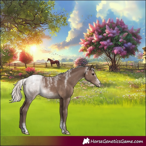 Horse Color:Powder White Silver Black Sabino Rabicano 