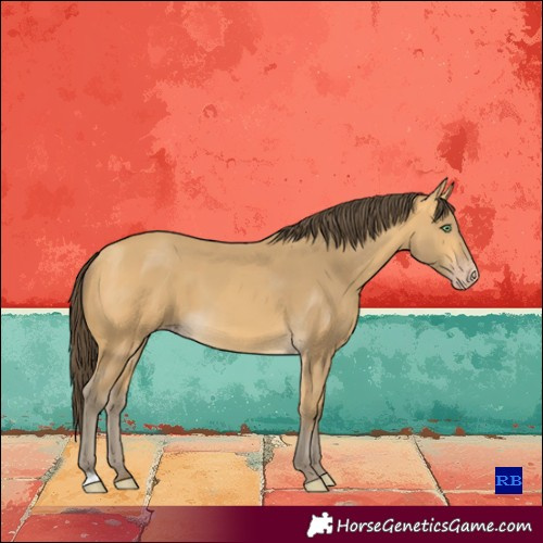 Horse Color:Sable Cream Champagne 
