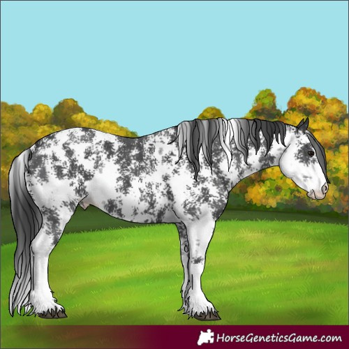 Horse Color:Black Sabino