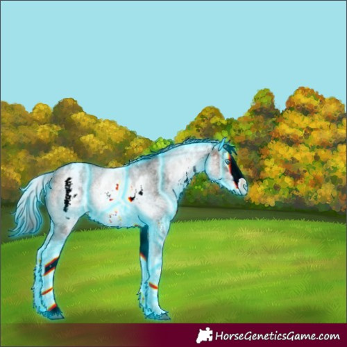 Horse Color:Thunderstruck White Spotted Brown Sabino Splash 