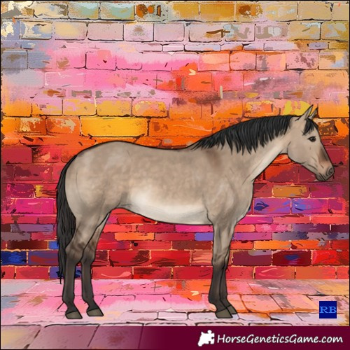 Horse Color:Brown Dun Rabicano 