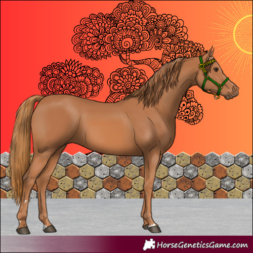 Horse Color:Chestnut 