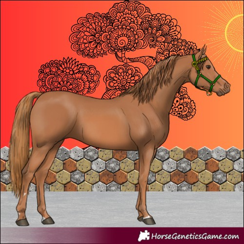 Horse Color:Chestnut 