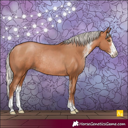 Horse Color:Silver Brown Pearl Sabino Rabicano 