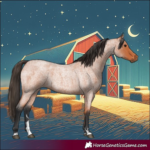 Horse Color:Bay Roan 