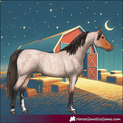 Horse Color:Bay Roan 