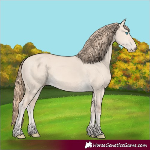 Horse Color:Perlino Dun 