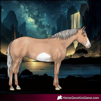 Horse Color:Silver Amber Champagne Frame 