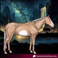 Horse Color:Silver Amber Champagne Frame 