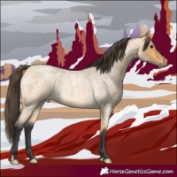 Horse Color:Buckskin Roan