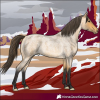 Horse Color:Buckskin Roan 