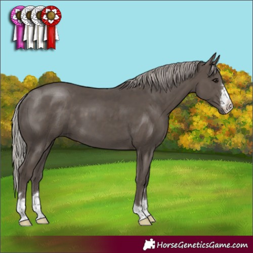 Horse Color:Silver Black 