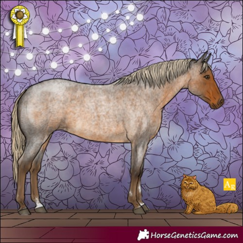 Horse Color:Chocolate Palomino Roan 