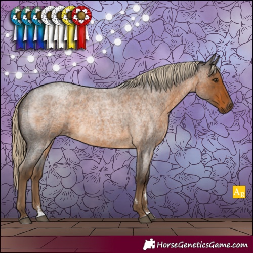 Horse Color:Chocolate Palomino Roan