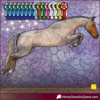 Horse Color:Chocolate Palomino Roan