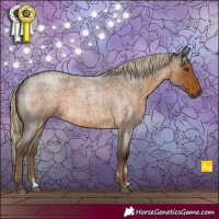 Horse Color:Chocolate Palomino Roan 