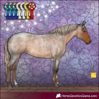 Horse Color:Chocolate Palomino Roan