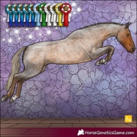 Horse Color:Chocolate Palomino Roan 