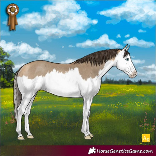 Horse Color:Sable Cream Champagne Splash Rabicano 