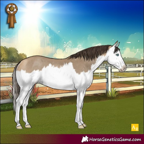 Horse Color:Sable Cream Champagne Splash Rabicano