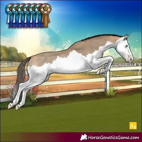 Horse Color:Sable Cream Champagne Splash Rabicano 