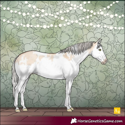 Horse Color:White Spotted Silver Amber Champagne Dun Splash Rabicano 