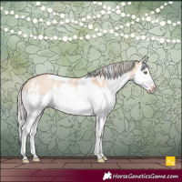 Horse Color:White Spotted Silver Amber Champagne Dun Splash Rabicano 
