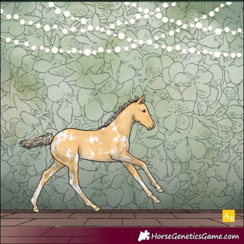 Horse Color:White Spotted Palomino Dun 