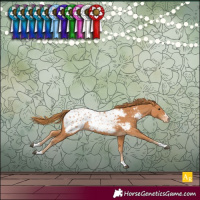 Horse Color:Chestnut Blanket