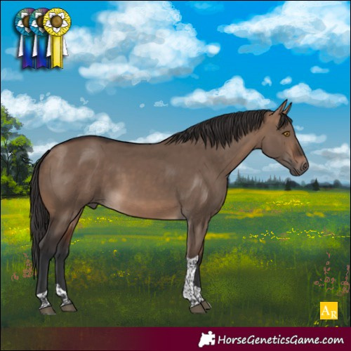 Horse Color:Brown Dun Tobiano 