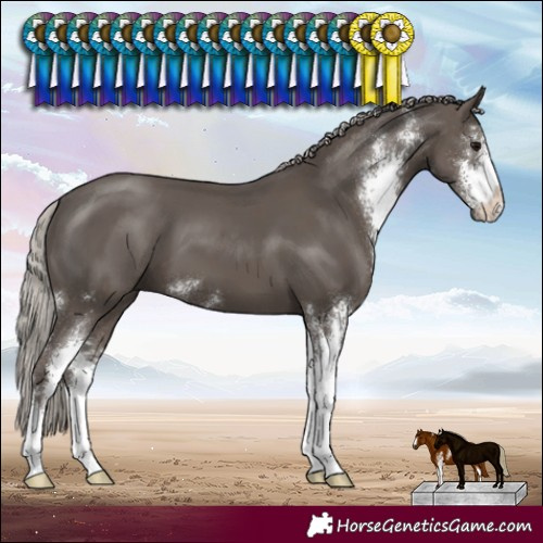 Horse Color:Silver Black Sabino