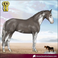 Horse Color:Silver Black Sabino 
