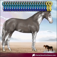 Horse Color:Silver Black Sabino