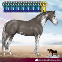Horse Color:Silver Black Sabino